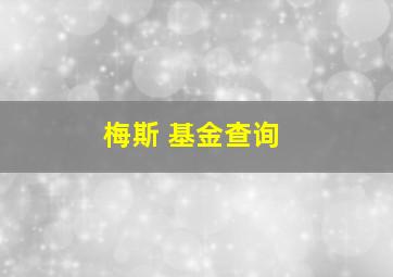 梅斯 基金查询